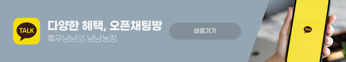 오픈채팅방